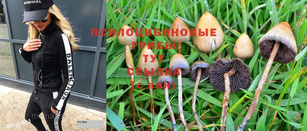 ешки Нефтекумск