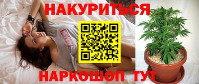 молекула духа Жуковский