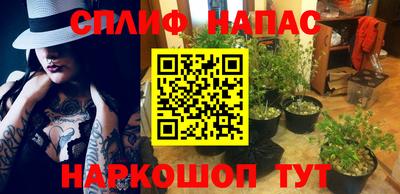 молекула духа Жуковский