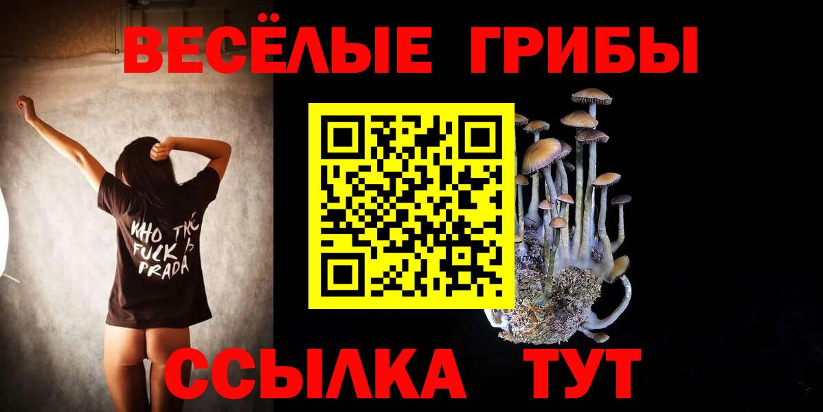 Псилоцибиновые грибы Psilocybine cubensis Ярцево